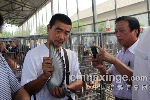 ����������������(ͼ)