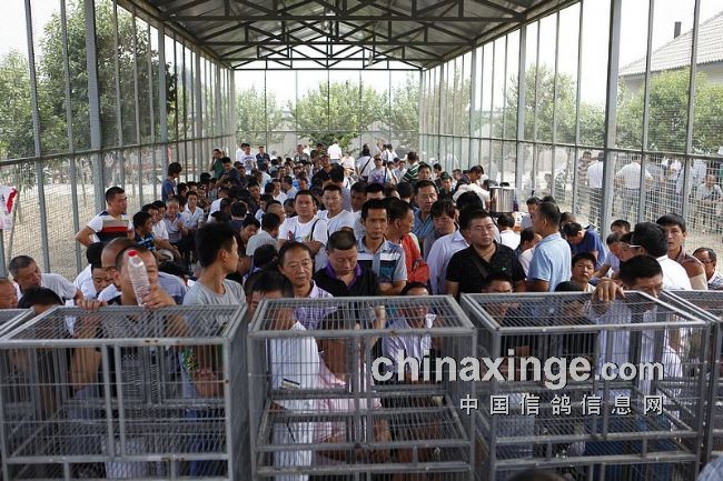 ������Э�����Ĺ�������6667��(ͼ)