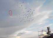 ��ӥץ�ߵġ�23��������(ͼ)