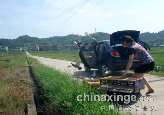 ���ÿ͡��Ե��� ׷������(ͼ)