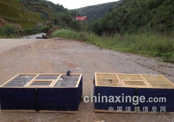 �������н����＾ѵ��(ͼ)