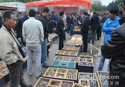 ���ɹ�ͨ����������վ����13311��(ͼ)