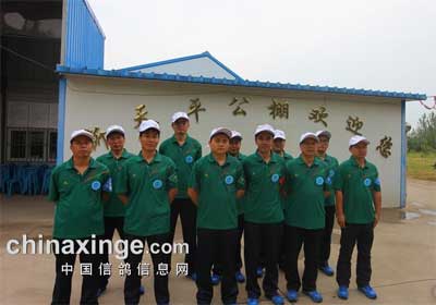 ������ƽ����������ʵ¼(ͼ)