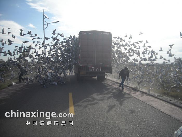 һ�Ź��￪����