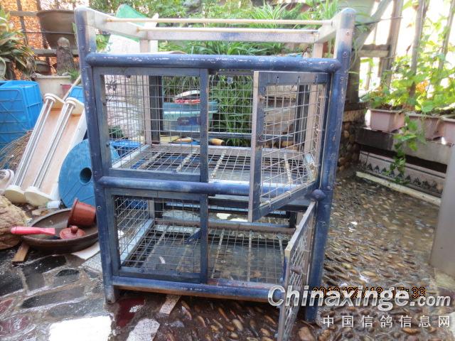 ����˫��ŷ����������(ͼ)