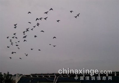 ���мҷ�(ͼ)