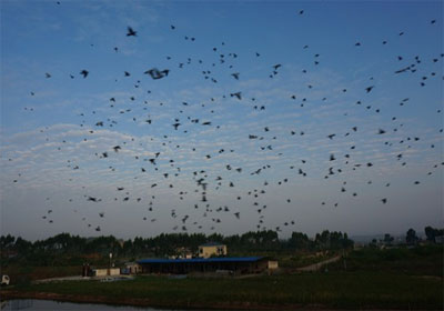 ��ˮ��û���������Ҵ�뿪ʼ�ҷ�(ͼ)