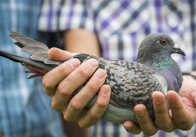 ����ʱ���ע�������ھ���¯(ͼ)