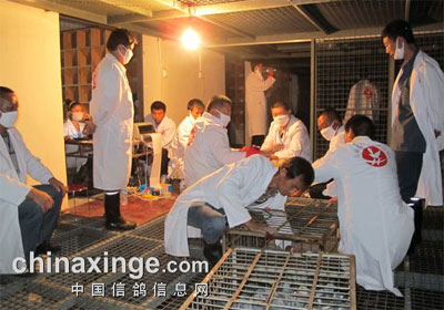 ������ͥ�������Ĳ����ʵ(ͼ)