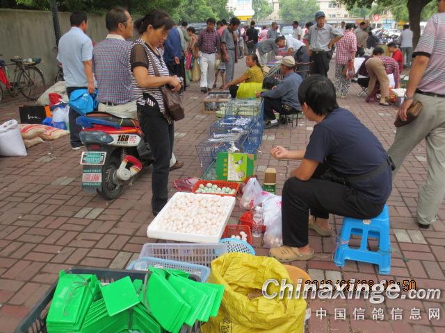 ���ճ������ո���(ͼ)