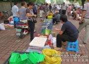 ���ճ������ո���(ͼ)