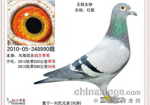 һ�Բ����۵Ĵ������(ͼ)