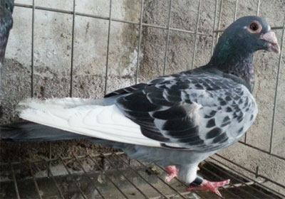 ������������ô�䣿