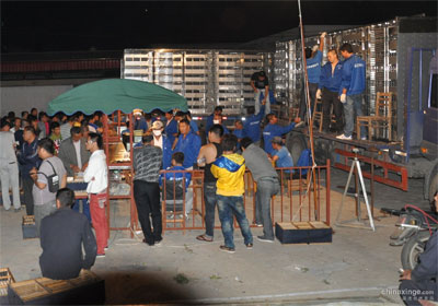 ͨ��������260���Ｏ��11901��(ͼ)