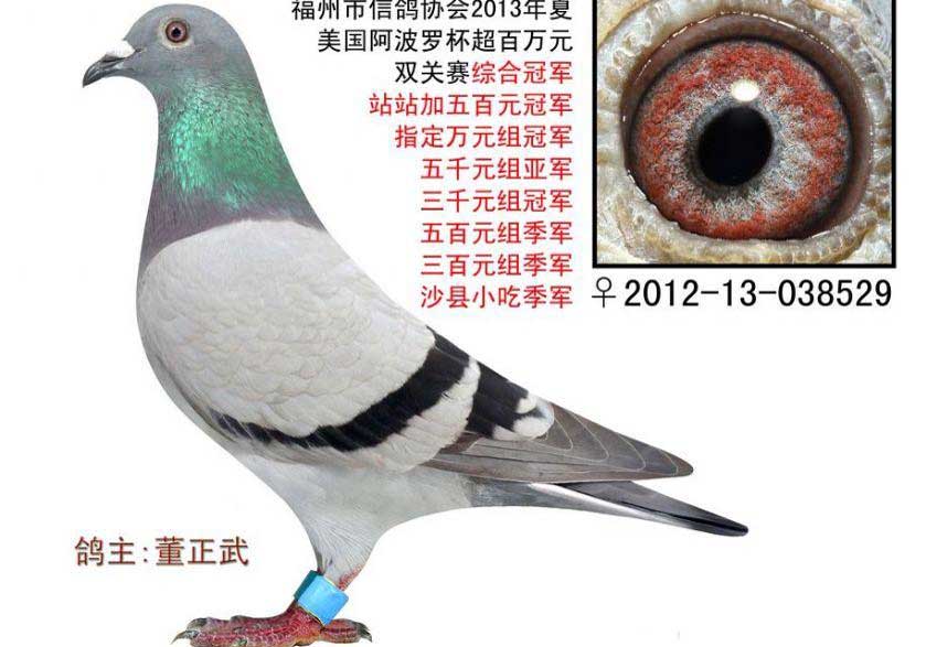 �����ļ�����˫�����ۺ�ǰʮ������(ͼ)