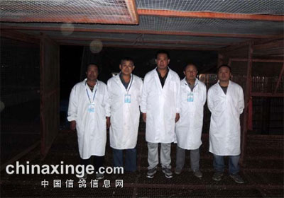 ��ͷ������ֲ�100����ѵ������(ͼ)