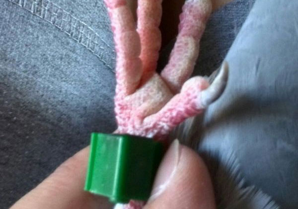 ����Ӳ�ϡ�����(ͼ)