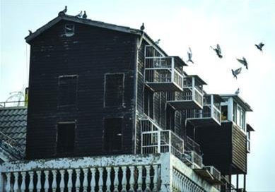 �Ϻ������ӱ��������� ҵ��ͬ��(ͼ)