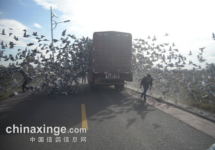 �ײ㿪���룺�ҵ��챾�ܹ�(ͼ)