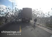 �ײ㿪���룺�ҵ��챾�ܹ�(ͼ)