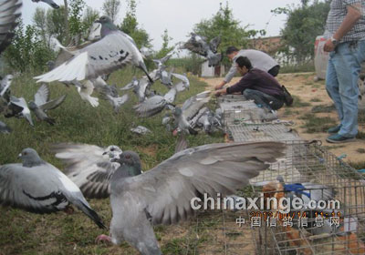 ����������Э2013����ѵ��(ͼ)