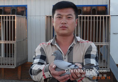 ���ֵ»����ٹ���ǰʮ���(ͼ)