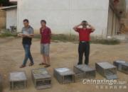 �����뽭�����紦ѵ��