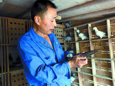 �ҵ�һ�������˸���(ͼ)