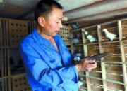 �ҵ�һ�������˸���(ͼ)