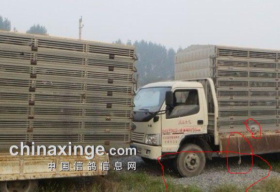 ����0����3����ѵ����Ƭ�Ա�(ͼ)