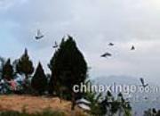 ɽ��ѵ�Ÿ� ��;����ϼ(ͼ)