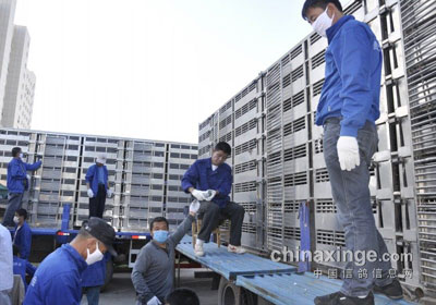 ����ͨ�ɵ���վ400���Ｏ��6919��(ͼ)