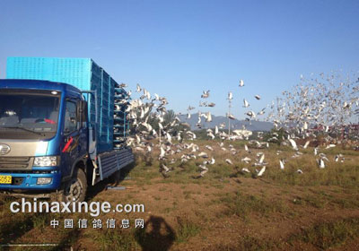 �������ǿ��ն���ѵ��10����(ͼ)