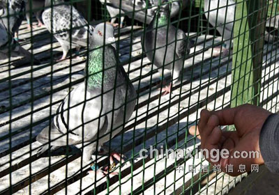 ���⡰��һ����������޶�(ͼ)