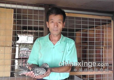 ���������＾500����ǰʮ����Ƭ