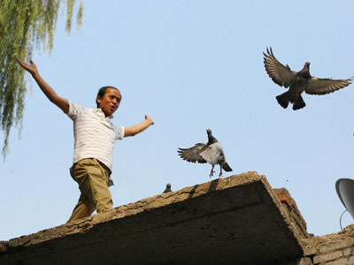 ̫ԭ��������Ԭ�Ĳ�Ǩ��(ͼ)