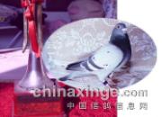 ʧ��ʹ��ʹʧһ�𳬼���(ͼ)