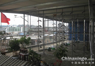 ���ִ�����еĸ���(ͼ)