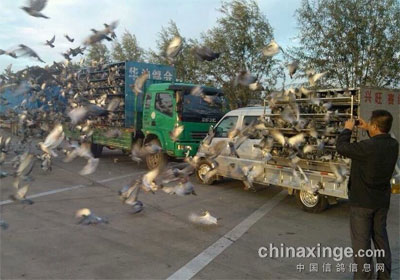 ����������������2907��¼ȡ1500��(ͼ)