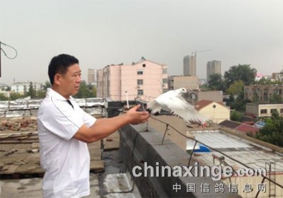 ��ׯ��300�����γ�վ���Ǽ�����(ͼ)