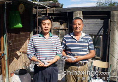 ������������260����ǰʮ������(ͼ)