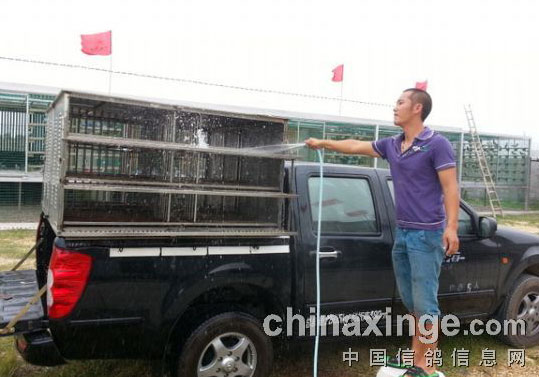 Ϊѵ�������복(ͼ)