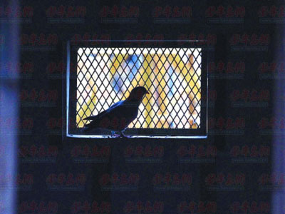 �ൺ����ѵ�����¼