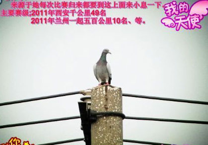 ղɭ���̴Ѻ� ���е�˺�(ͼ)