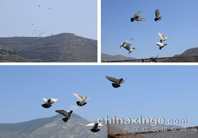 ţ�����ǧ��� �����ˬѵ��æ(ͼ)