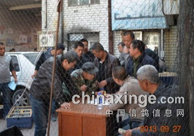 �ض����500�����رȵ��Ĺؿ���(ͼ)