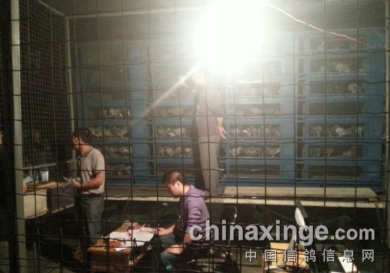 �ϰ���;�ӻؼҴ����(ͼ)