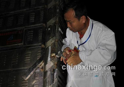 ֣�ݺ�ƽ����80���Ｏ����(ͼ)