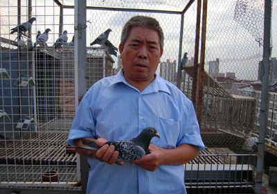 ��ɳ�Զ�� �����������(ͼ)