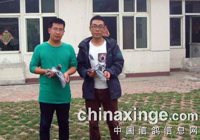 �ȷ��＾200����ǰʮ������(ͼ)